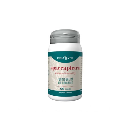 SPACCAPIETRA 60CPS