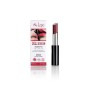XLENT COLOR-ROSSETTO STYLO 06-MIRTILLO