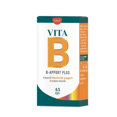 B APPORT VITAMINA B12 120CPR