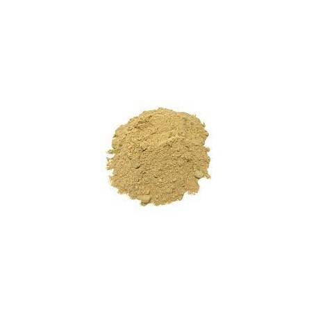 ZENZERO RIZOMA POLVERE 100G