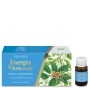 ENERGIA E ARMONIA-FLUIDO CONCENTRATO FLACONCINI MONODOSE
