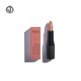 3D LIPSTICK ROSSETTO ALTA DEFINIZIONE N.101 GINSENG