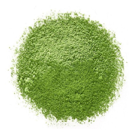 MATCHA BIOLOGICO 100G HERBO VENETA