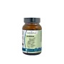 MORINGA 60CPS