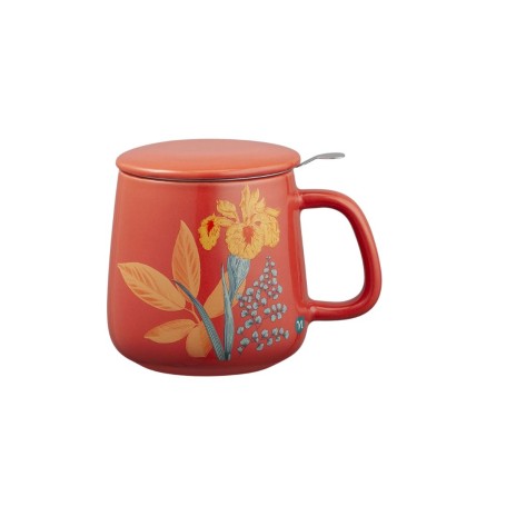 HERBARIUM INFUSIERA ARANCIONE