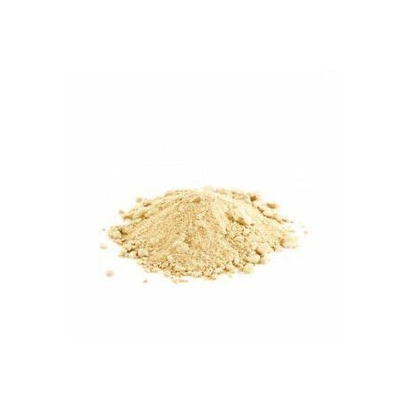 MACA RADICE POLVERE 100G