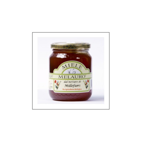 MIELE DI MILLEFIORI BIO MELAURO 250G