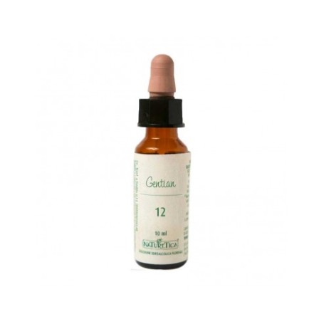 N.12 GENTIAN