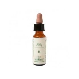 N.15 HOLLY
