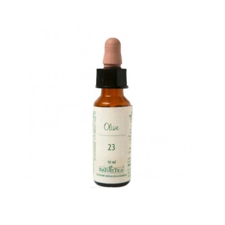 N.23 OLIVE