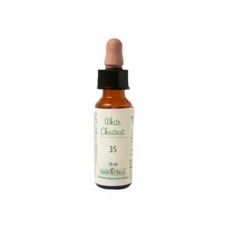 N.35 WHITE CHESTNUT