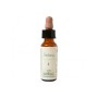 N.04 CENTAURY