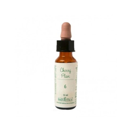 N.06 CHERRY PLUM