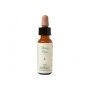 N.06 CHERRY PLUM